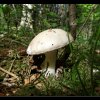 20130731_011